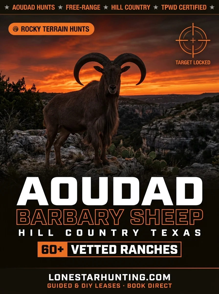 Lone Star Hunting — Aoudad portfolio creative